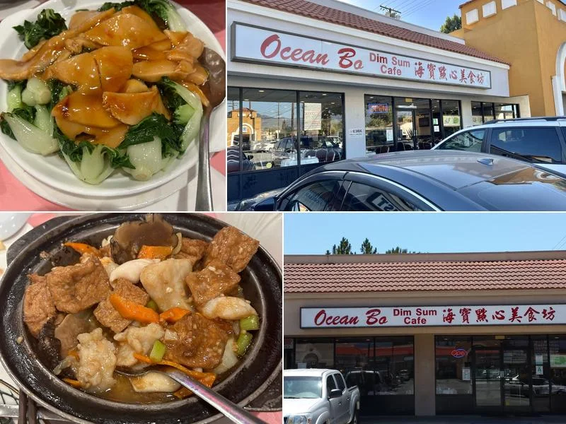Food and dining at Ocean Bo Dim Sum Cafe